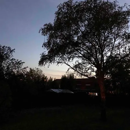 14-een Oase Rust Tussen Polders En Kust Semesterbostad Oostende