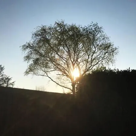 Semesterbostad 14-een Oase Rust Tussen Polders En Kust