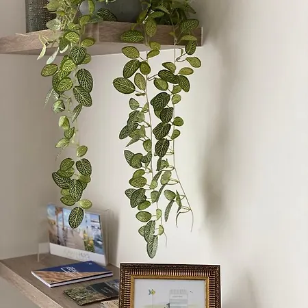 14-een Oase Rust Tussen Polders En Kust Oostende