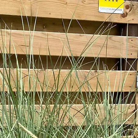 14-een Oase Rust Tussen Polders En Kust Feriehus