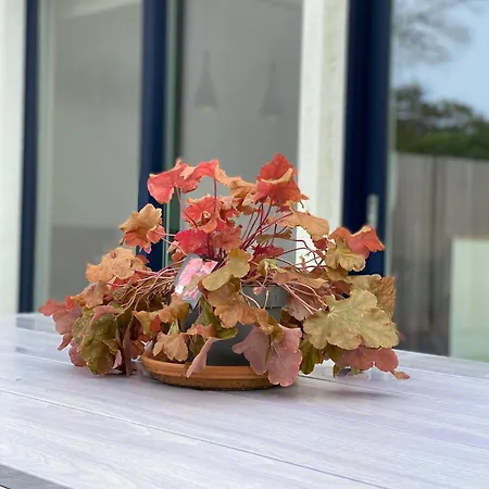 14-een Oase Rust Tussen Polders En Kust