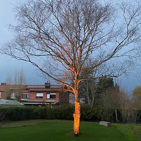 14-een Oase Rust Tussen Polders En Kust * Ostenda