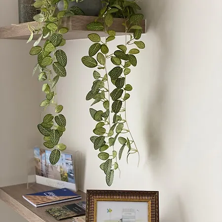 Semesterbostad 14-een Oase Rust Tussen Polders En Kust *