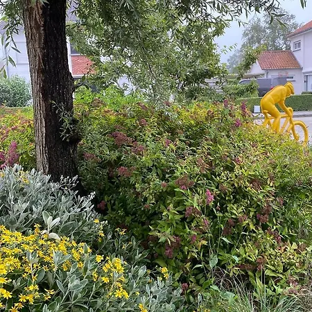 Vakantiehuis 14-een Oase Rust Tussen Polders En Kust